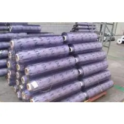 Màng nhựa pvc trong kho lạnh