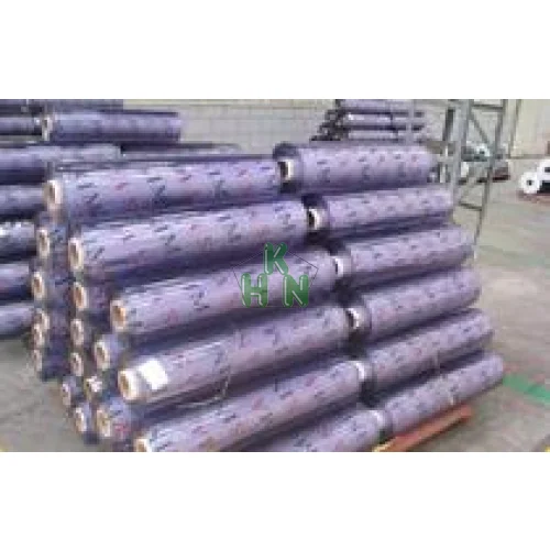 Màng Nhựa PVC Trong Kho Lạnh – Giải Pháp Giữ Nhiệt Hiệu Quả, Giao NHANH Tây Ninh – Long An – Đồng Tháp