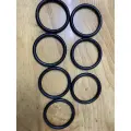 O-ring phi tiêu chuẩn