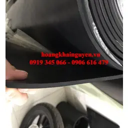CAO SU TẤM HẢI DƯƠNG