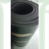 CAO SU TẤM ĐIỆN BIÊN