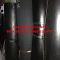 CAO SU TẤM YÊN BÁI
