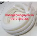 Ron silicon Quận 9