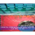THẢM XỐP LÓT SÀN TẬP VÕ HUYỆN CỦ CHI | THẢM XỐP LÓT PHÒNG TẬP GYM